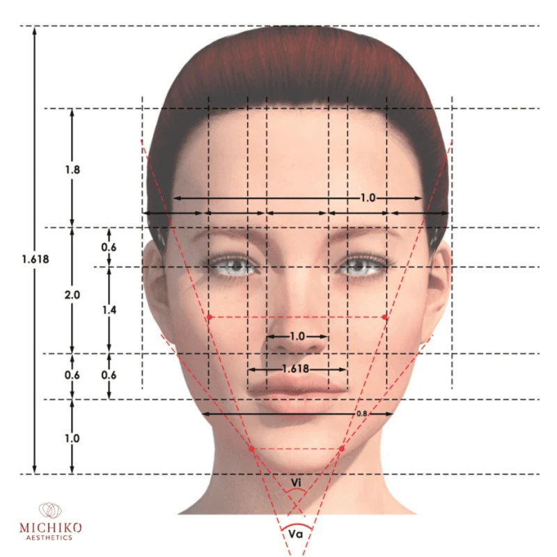 ภาพประกอบการอธิบายทางเลือก