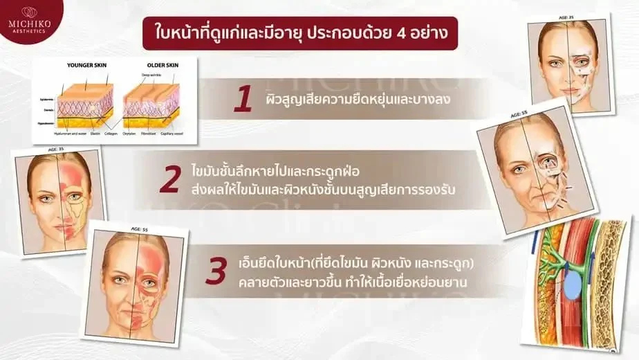 MICHIKO illustration of facial changes